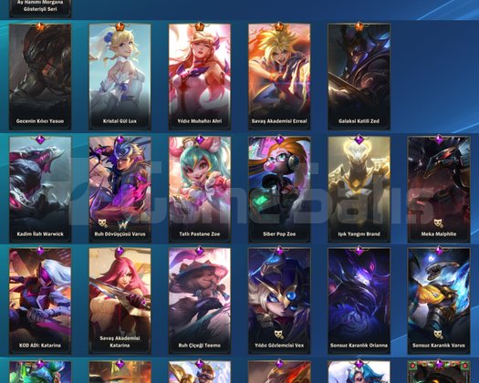 Vladimir Full Skin