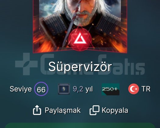 9 Yıllık Steam Hesabı 66 Seviye