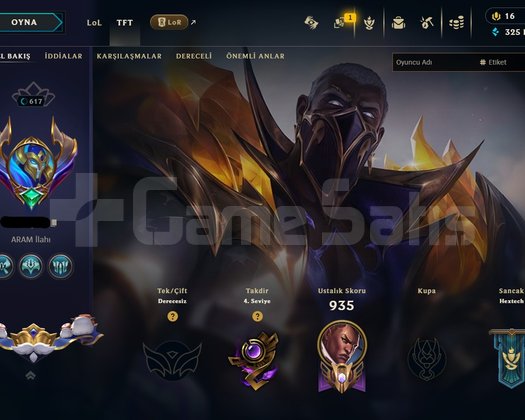 Valorant 41 Kaplama + LoL 402 Kostüm Birleşik
