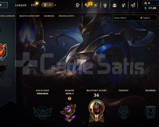 28 LVL 3SKİN