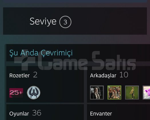 ACİL SATILIK STEAM HESABI