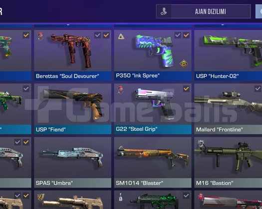 176 SEVİYE KELEBEKLİ KLANLI VE SKİNLİ HESAP UYGUNA