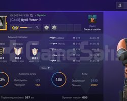 176 SEVİYE KELEBEKLİ KLANLI VE SKİNLİ HESAP UYGUNA