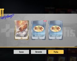 Koleksiyon kartları pubg fiyat açıklamada