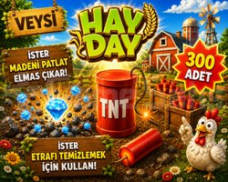 KAMPANYA toplam 300 tnt-dinamit