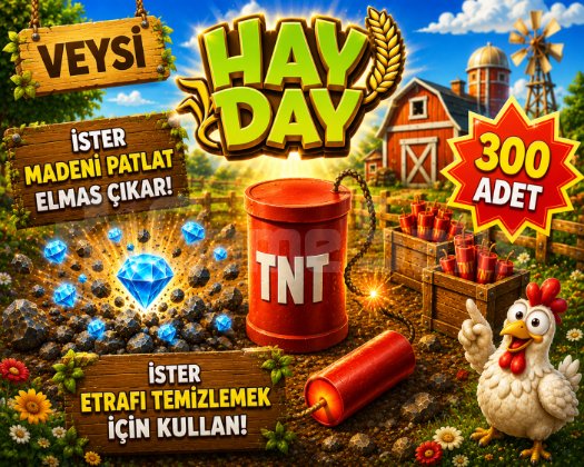 KAMPANYA toplam 300 tnt-dinamit