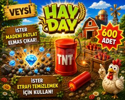 KAMPANYA toplam 600 tnt-dinamit