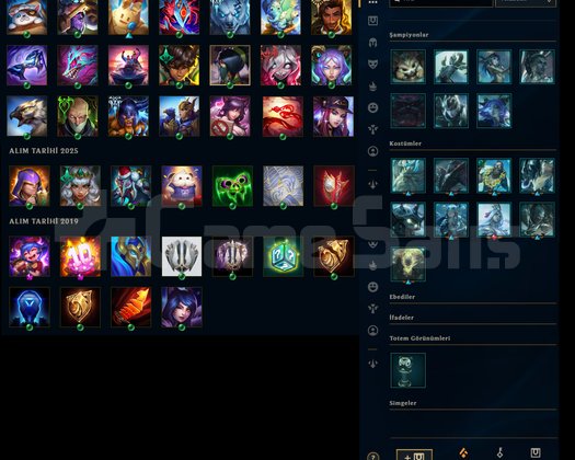 TR SERVER 81 HERO 19 SKIN 81WR ACC