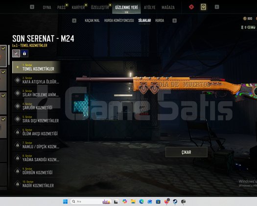 STEAM PUBG 4 Geliştirilebilir GOLD AK 800 G coin