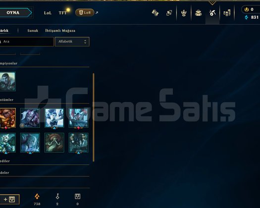 EUW PLAT 2 90 LP 30 GELİR 10 GİDER TERTEMİZ HESAP