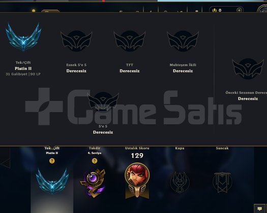 EUW PLAT 2 90 LP 30 GELİR 10 GİDER TERTEMİZ HESAP