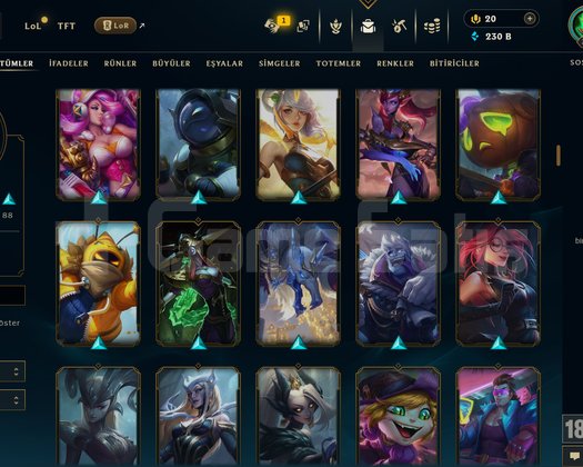 300 LVL + 188 KOSTÜM + 172 HERO + MAİL + TEL!