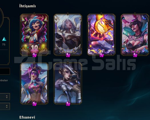 148 SKIN PLAT 2 MAİNLEMELİK EMEK HESAP