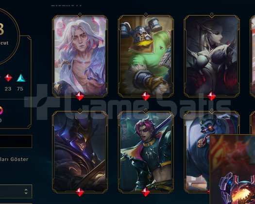 148 SKIN PLAT 2 MAİNLEMELİK EMEK HESAP