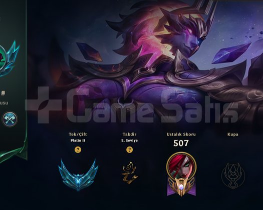 148 SKIN PLAT 2 MAİNLEMELİK EMEK HESAP