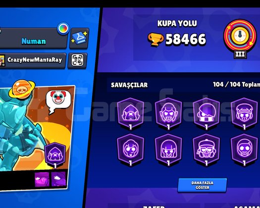 Skin delisi