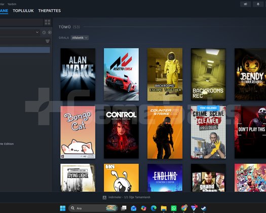 RDR2 GTA 4 bir cok oyunlu steam hesap kacirma