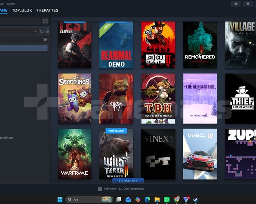 RDR2 GTA 4 bir cok oyunlu steam hesap kacirma