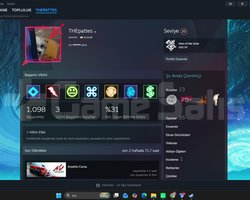 RDR2 GTA 4 bir cok oyunlu steam hesap kacirma