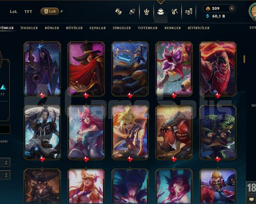 262 LVL + 273 KOSTÜM + 172 HERO + GOLD 2 + MAİL!