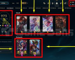 262 LVL + 273 KOSTÜM + 172 HERO + GOLD 2 + MAİL!