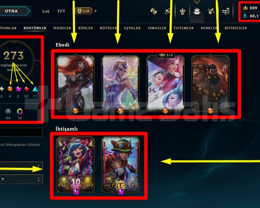 262 LVL + 273 KOSTÜM + 172 HERO + GOLD 2 + MAİL!