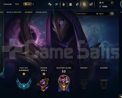 TR Esnek Plat 3 | 6 Kostüm - 51 Hero | LoL Hesap