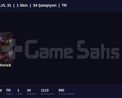 TR / 31 LVL + 1 SKİN + FRESH + RANK HAZIR !!