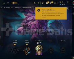 74 skinli gitme risksiz unranked hesap