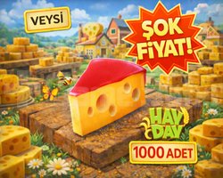 KAMPANYA 1000 peynir