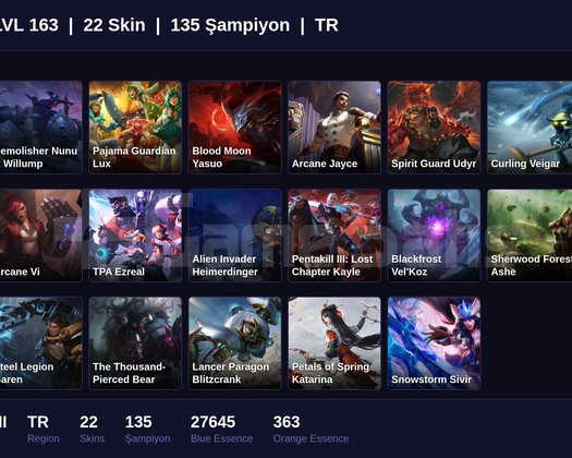 TR / 163 LVL + 22 SKİN + SILVER II !!