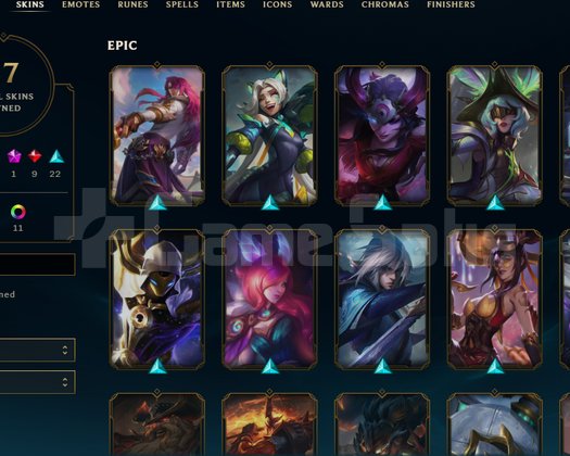 63wr dia4 57 skin handmade