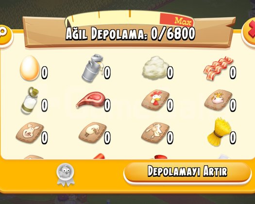 65 Level 6800 Ağıl Depolu Hesap