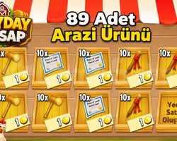 89 Adet Eşit Arazi