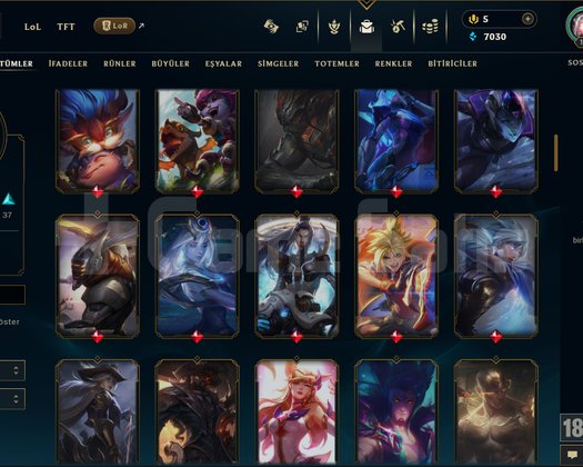 134 LVL + 100 KOSTÜM + 116 HERO + BRONZ 2 + MAİL!