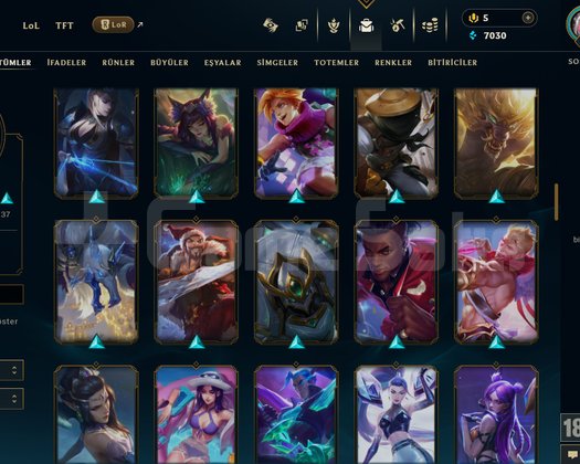 134 LVL + 100 KOSTÜM + 116 HERO + BRONZ 2 + MAİL!