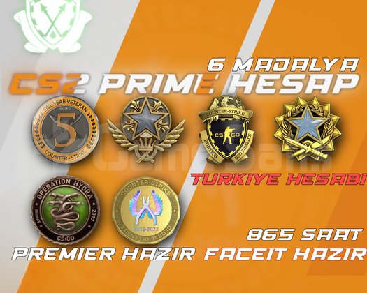 TR 6 Madalya + 864 Saat + FACEIT + PREMIER HAZIR