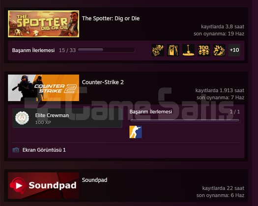 1.900 Saat CS 2 - 44 Seviye Steam, CS Hesap