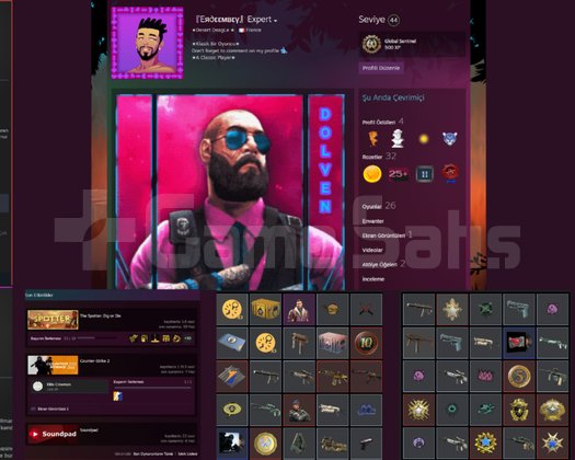 1.900 Saat CS 2 - 44 Seviye Steam, CS Hesap