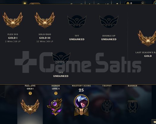 TR Gold 1 hesap handmade