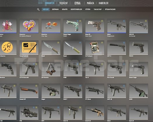 prime cs2 hesap
