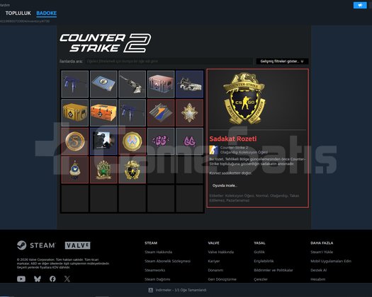 8.5Yıllık Steam Hesabımı Satıyorum İlaç Param İçin