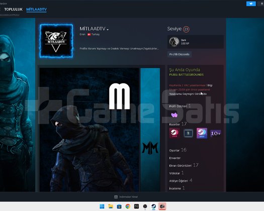 Steam hesabı PUBG ağırlıklı