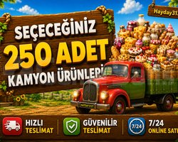 250 ADET KAMYON ÜRÜNÜ