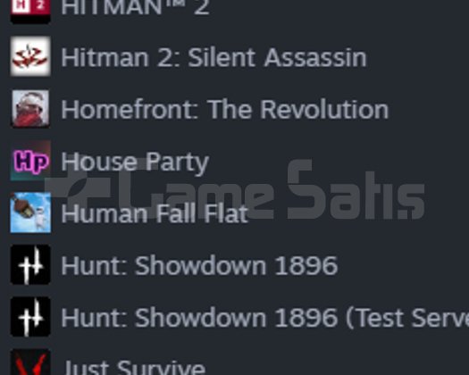 steam hesap 10 seviye
