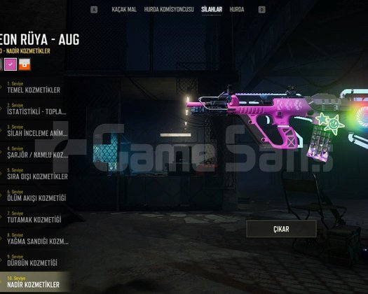 MAX Lvl AUG Neon + 8 Lvl Anka M416 | 4600+ Saat