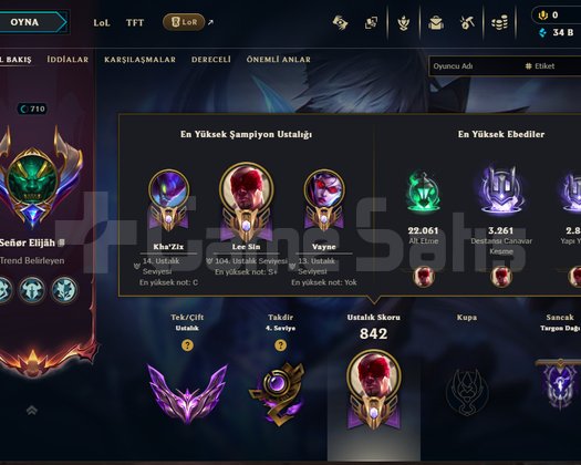 TR MASTER YÜKSEK MMR | İLK MAİL | 374 SKİN |710LVL
