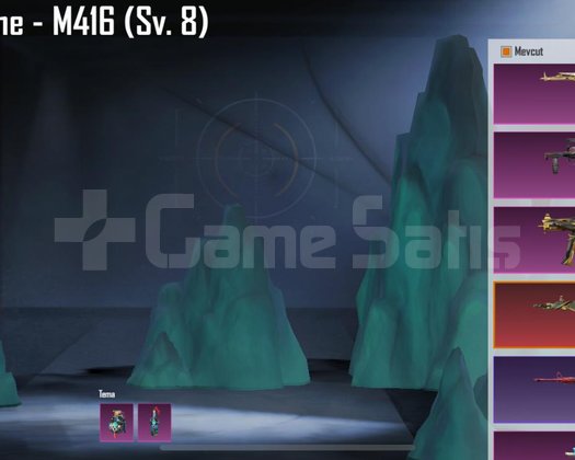 m416 8 lvl 5 spor arabalı rick grimeslı