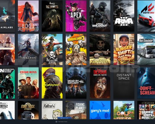 Steam Hesabı