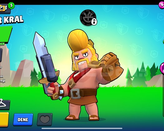 2020 NADİR BRAWL STARS HESABI